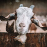 Regional Overlanding - 01 Kaszebe 56 kopia